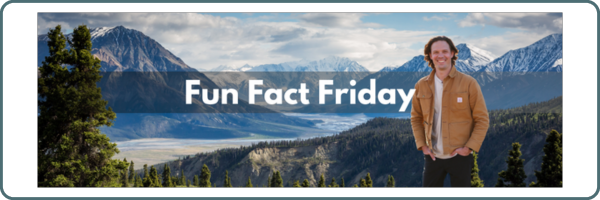 Andrew Bacon Fun Fact Friday