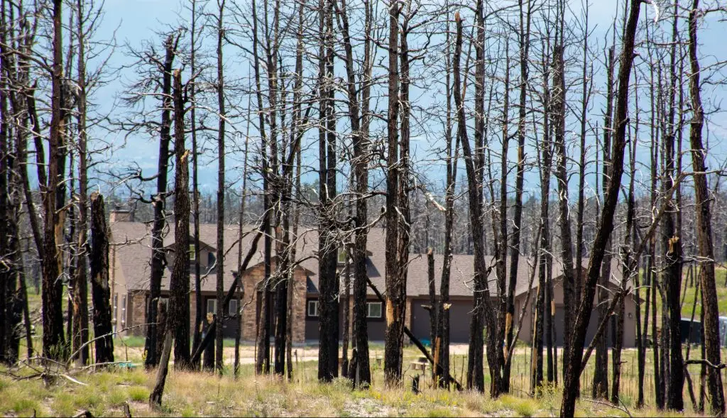 How to Protect Your Home from Wildfires in Colorado Springs