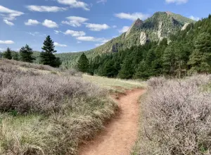 Best Hikes Around Colorado Springs: Top Trails for 2025