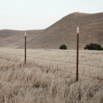 Difference Between an ILC and a Survey in Real Estate