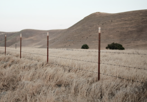 Difference Between an ILC and a Survey in Real Estate