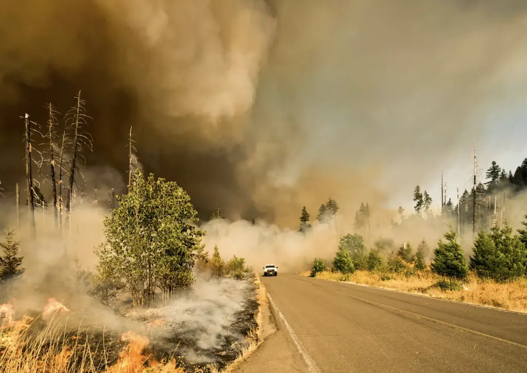 Colorado Wildfire Building Code: What Homeowners Need to Know in 2026