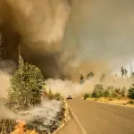 Colorado Wildfire Building Code: What Homeowners Need to Know in 2026