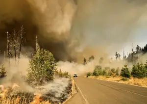 Colorado Wildfire Building Code: What Homeowners Need to Know in 2026