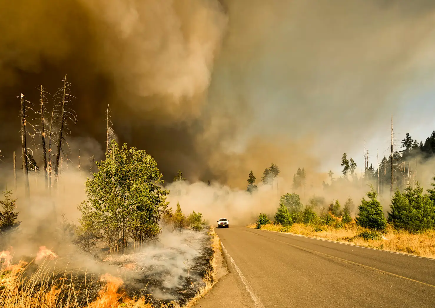 Colorado Wildfire Building Code: What Homeowners Need to Know in 2026